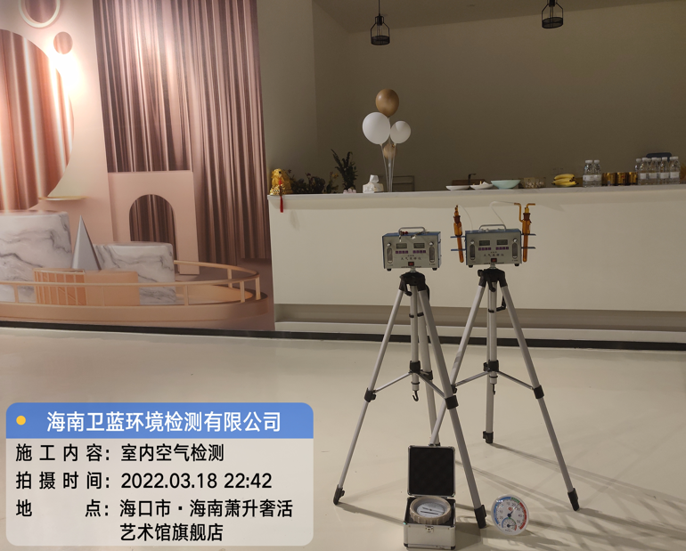 海南CMA甲醛檢測-?？谑惺捝莼钏囆g館甲醛檢測