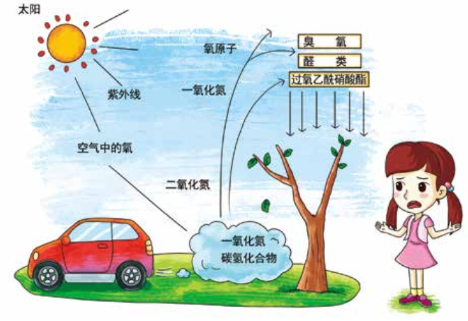 臭氧知識科普（2） | 臭氧跟光化學煙霧、PM2.5有什么關系？