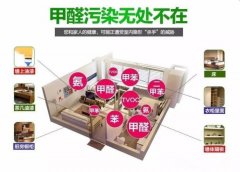快速裝修出租，甲醛超標(biāo)嚴(yán)重